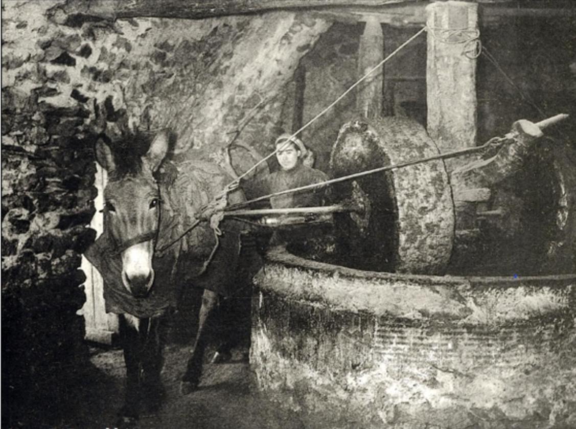 Appartamento Olive Oil Mill Kokkala Esterno foto